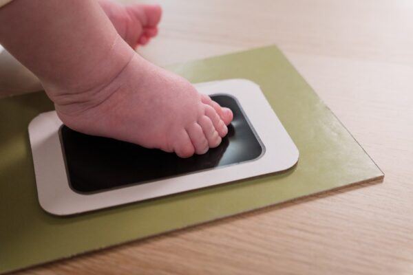 Puzzle Frame - Olive Tree