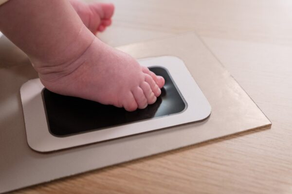 Puzzle Frame - Ivy Grey