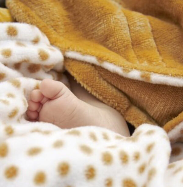 Meyco Fleece Wrap Για Το Κάθισμα Αυτοκινήτου Cheetah Honey Gold