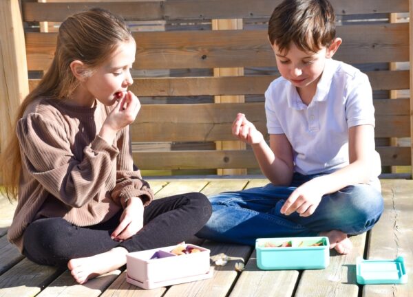 Melii – Bento Σιλικόνης 2 Θέσεων 700ml Pink/Purple