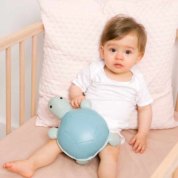 Έμιλυ η Χελωνίτσα