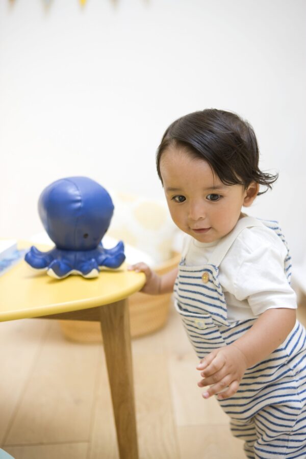 Οκτάβιος το Χταπόδι