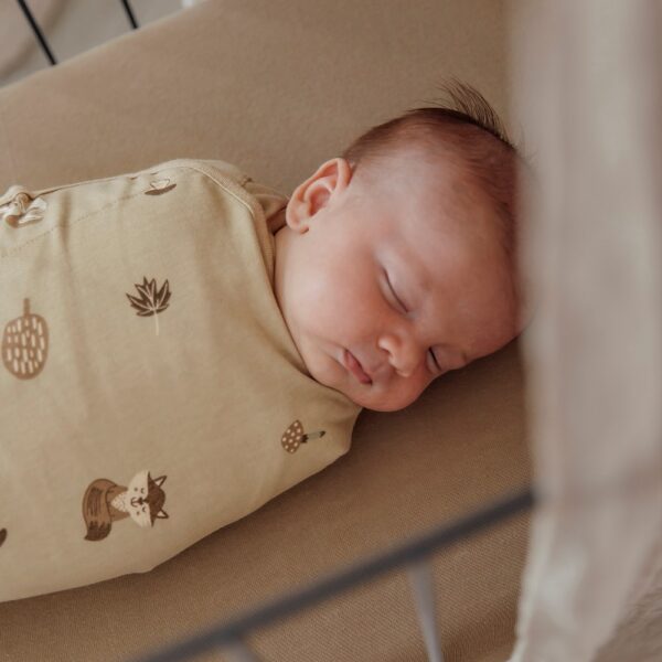 Meyco 2 Pack Swaddle Forest Animals Sand 0-3 μηνών