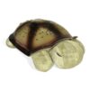 Cloud B - Twilight Turtle®