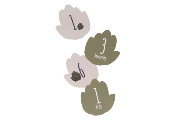 Birth Gift Set - Petit Artichaut