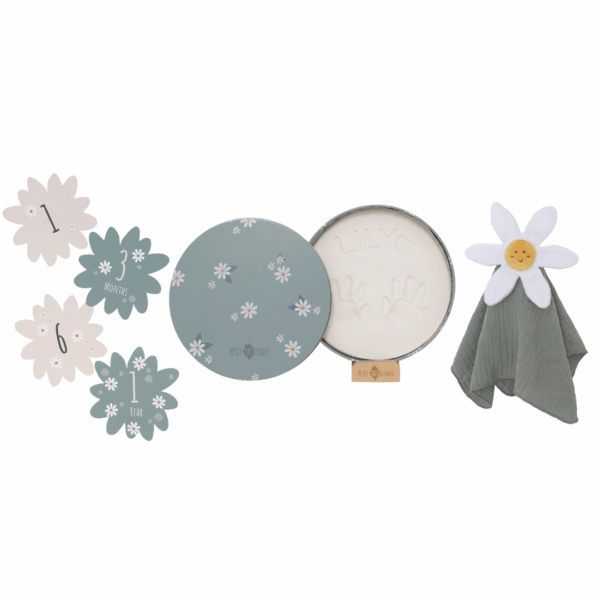 Birth gift set - Daisy Blue