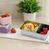 Melii - Stainless Steel Bento 2 θέσεων 740ml Μπλε