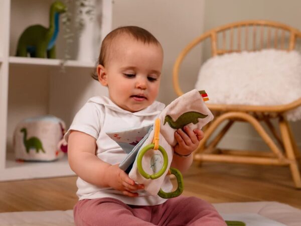 Baby Gift Box Dino friends